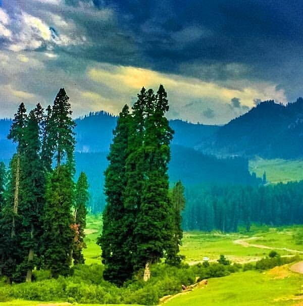 scenery (1)